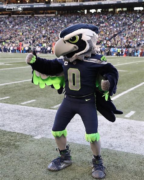 The Seattle Seahawks Mascots Rumble: A Community-Building Event Like No Other